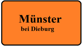 Flyerverteilung Münster