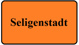 Flyerverteilung Seligenstadt